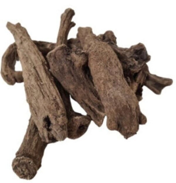 Costus indien entier - 10 gr
