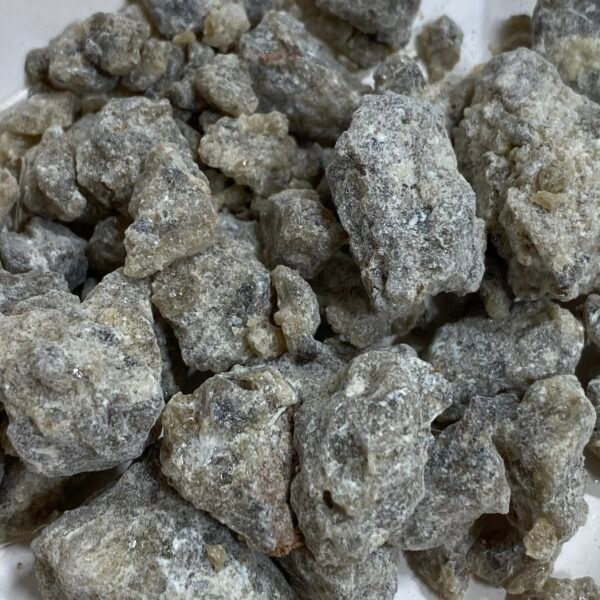Benjoin gris