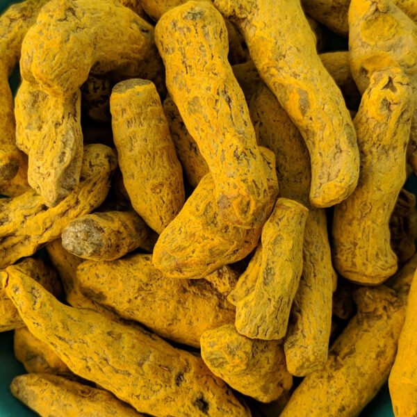 Racines de curcuma 100g