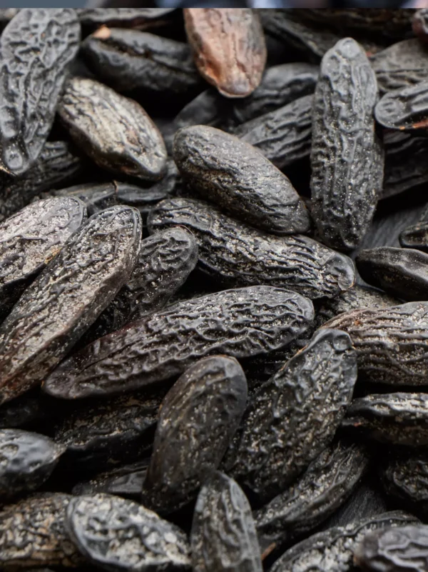 Fève de tonka - la pièce